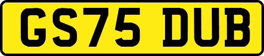GS75DUB