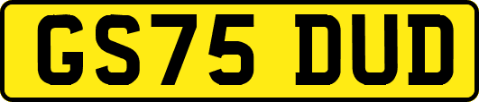 GS75DUD