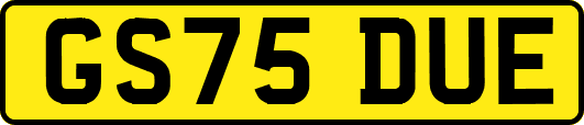 GS75DUE