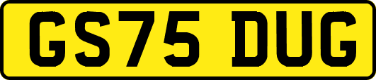 GS75DUG