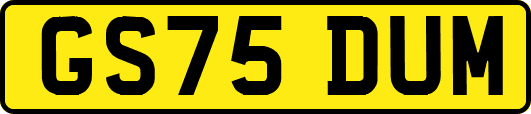 GS75DUM