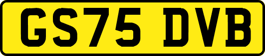 GS75DVB