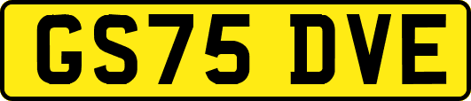 GS75DVE