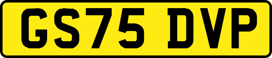 GS75DVP