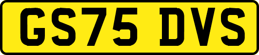 GS75DVS