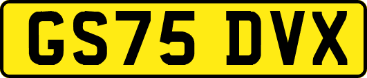GS75DVX