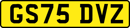 GS75DVZ