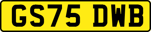 GS75DWB