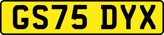 GS75DYX