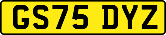 GS75DYZ
