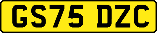 GS75DZC