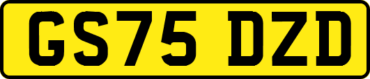 GS75DZD