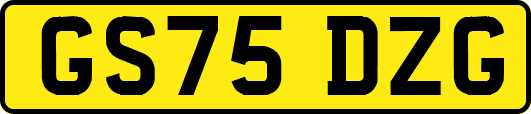 GS75DZG