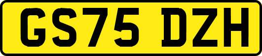 GS75DZH