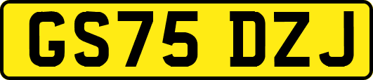 GS75DZJ