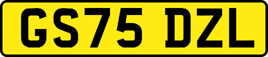 GS75DZL