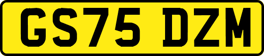 GS75DZM
