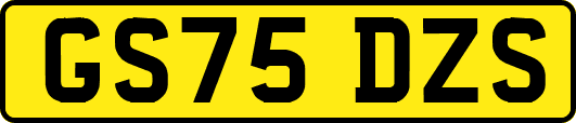 GS75DZS