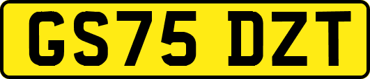 GS75DZT