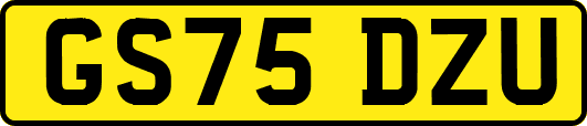 GS75DZU