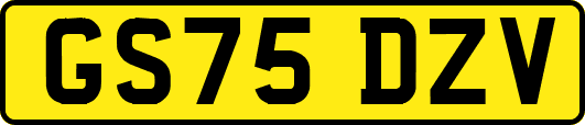 GS75DZV
