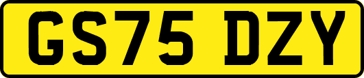 GS75DZY