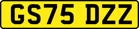 GS75DZZ