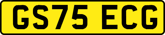 GS75ECG