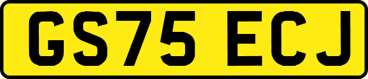 GS75ECJ