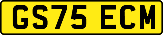 GS75ECM