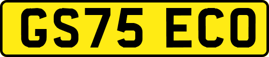 GS75ECO