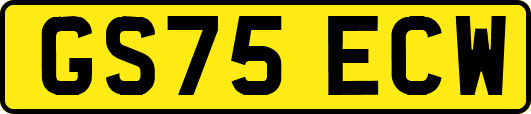 GS75ECW