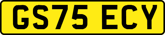 GS75ECY