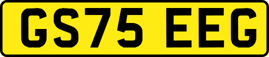 GS75EEG