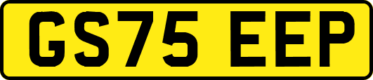 GS75EEP