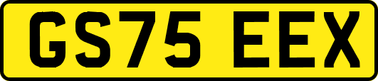 GS75EEX