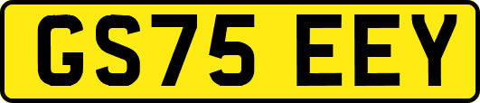 GS75EEY