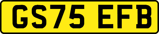 GS75EFB