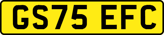 GS75EFC