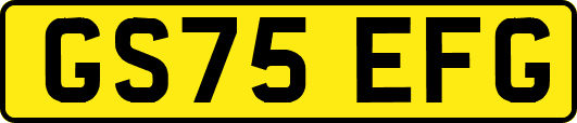 GS75EFG