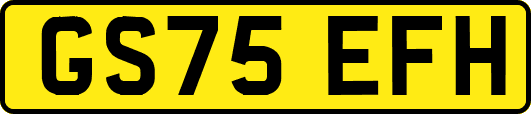 GS75EFH