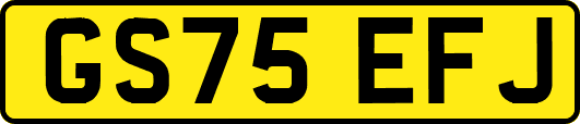 GS75EFJ