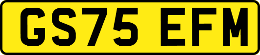 GS75EFM