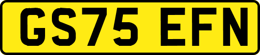GS75EFN