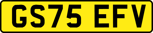 GS75EFV