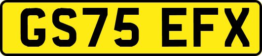 GS75EFX