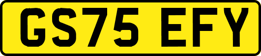 GS75EFY