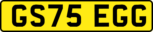 GS75EGG