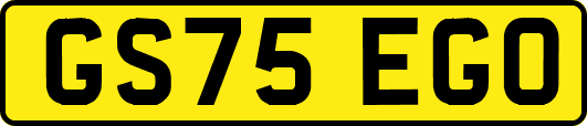 GS75EGO