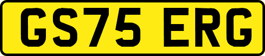 GS75ERG